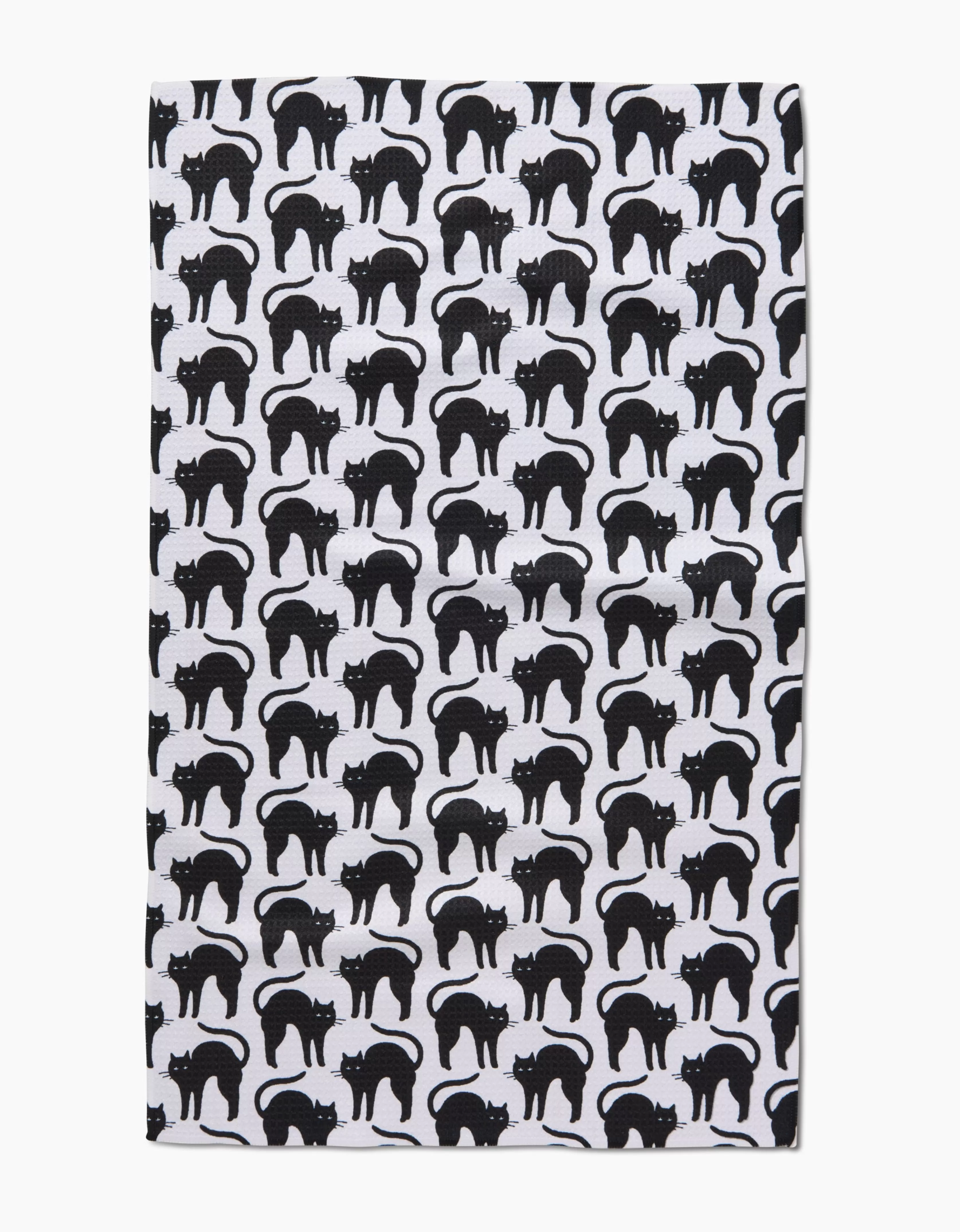 Sale GEOMETRY Scaredy Cat Black